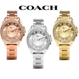 Coach Mini Boyfriend Diamonds Silver Dial Silver Steel Strap Watch for Women - 14501699 Buy Now By Coach