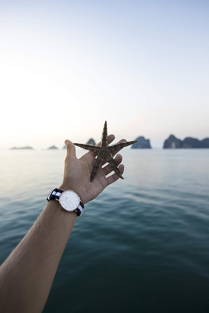 Daniel Wellington Classic Glasgow White Dial Two Tone NATO Strap Watch For Women - DW00100031 Buy Now By Daniel Wellington