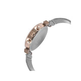 Hugo Boss Flawless Silver Dial Silver Mesh Bracelet Watch for Women -1502551 Buy Now By Hugo Boss