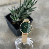 Daniel Wellington Petite Emerald Green Dial Gold Mesh Strap Watch For Women - DW00100480 Buy Now By Daniel Wellington