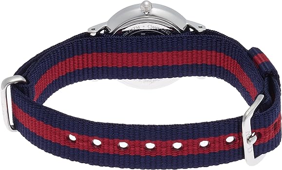 Daniel Wellington Classy Oxford White Dial Two Tone Nylon Strap Watch For Women - DW00100072 Buy Now By Daniel Wellington