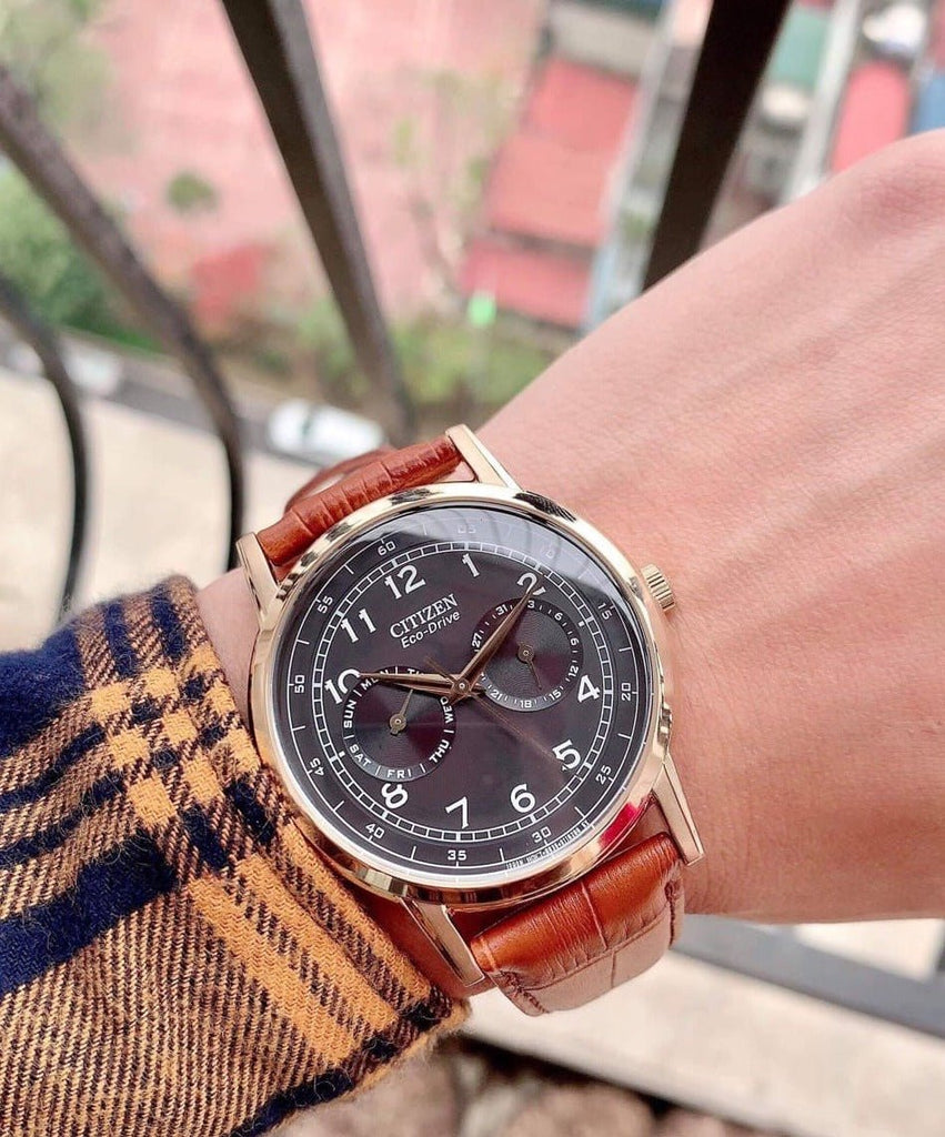 Citizen Eco Drive Multi Function Day & Date Black Dial Brown Leather Strap Watch For Men - AO9003-08E Buy Now By Citizen