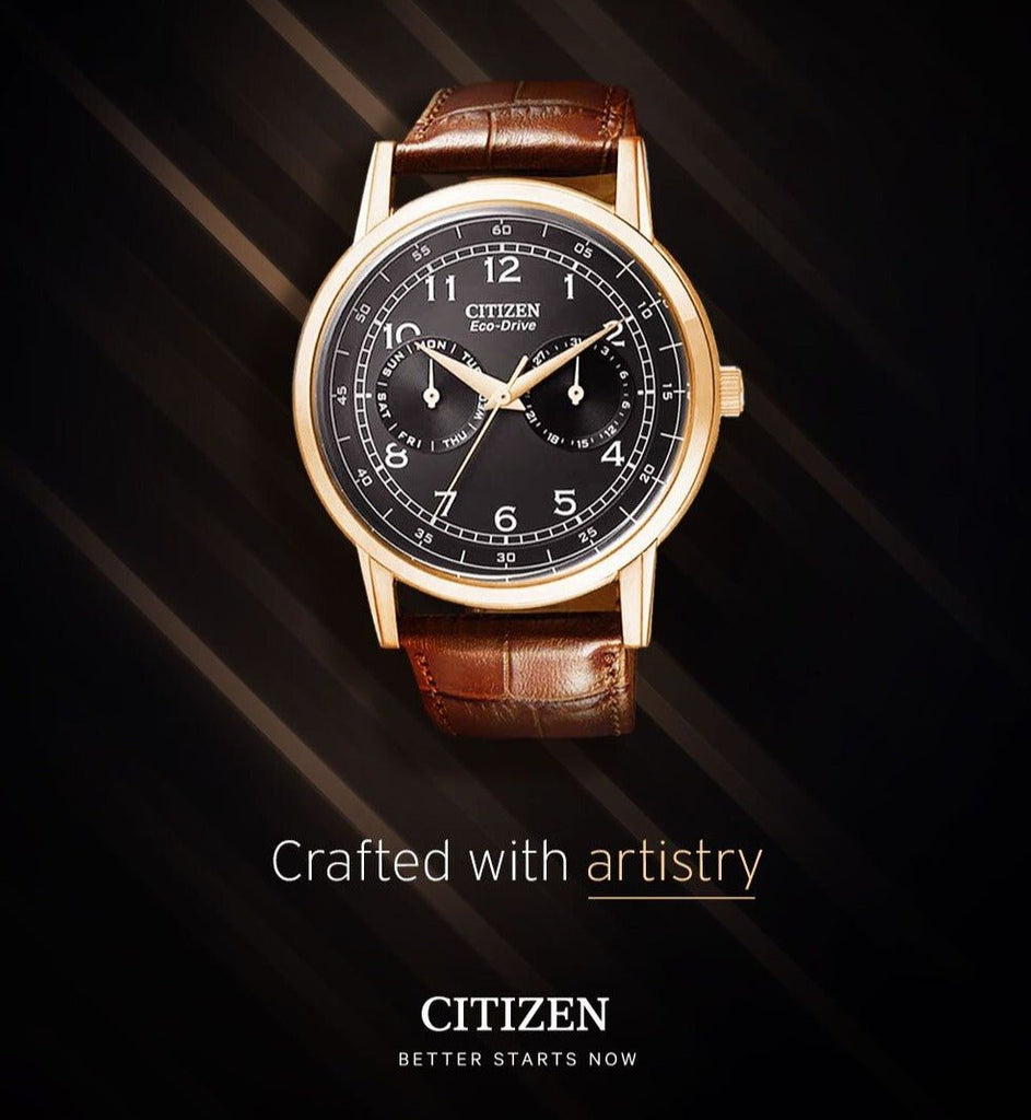 Citizen Eco Drive Multi Function Day & Date Black Dial Brown Leather Strap Watch For Men - AO9003-08E Buy Now By Citizen
