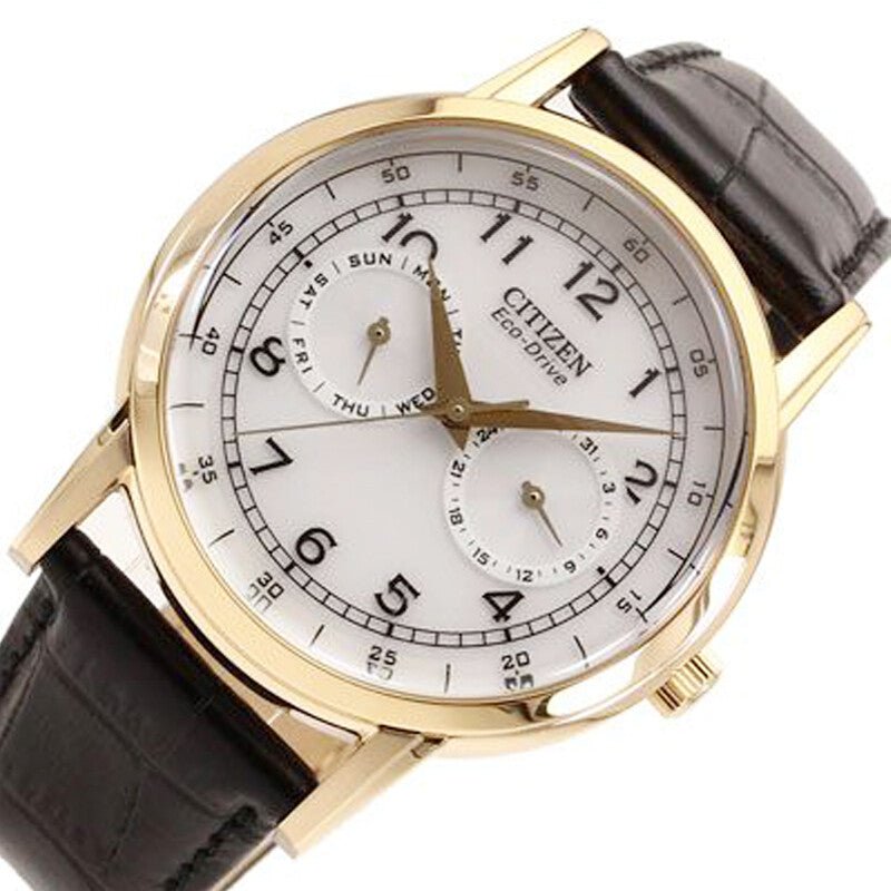 Citizen Watch Eco Drive Day & Date White Dial Black Leather Strap Watch For Men - AO9003-16A Buy Now By Citizen