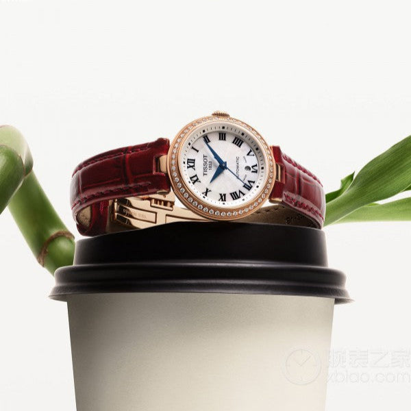 Tissot Bellissima Small Lady Diamonds Silver Dial Brown Leather Strap Watch For Women - T126.207.66.113.00 Buy Now By Tissot