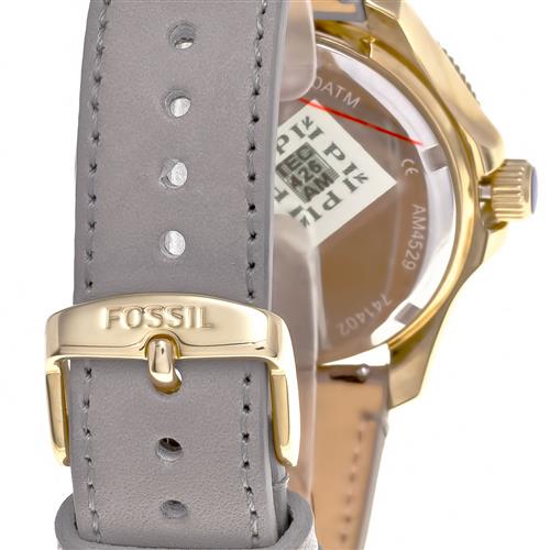 Fossil Cecile Champagne Dial Grey Leather Strap Watch for Women - AM4529 Buy Now By Fossil