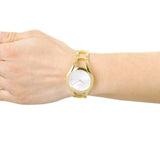Calvin Klein Class White Dial Gold Steel Strap Watch for Women - K6R23526 Buy Now By Calvin Klein
