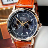Citizen Eco Drive Multi Function Day & Date Black Dial Brown Leather Strap Watch For Men - AO9003-08E Buy Now By Citizen