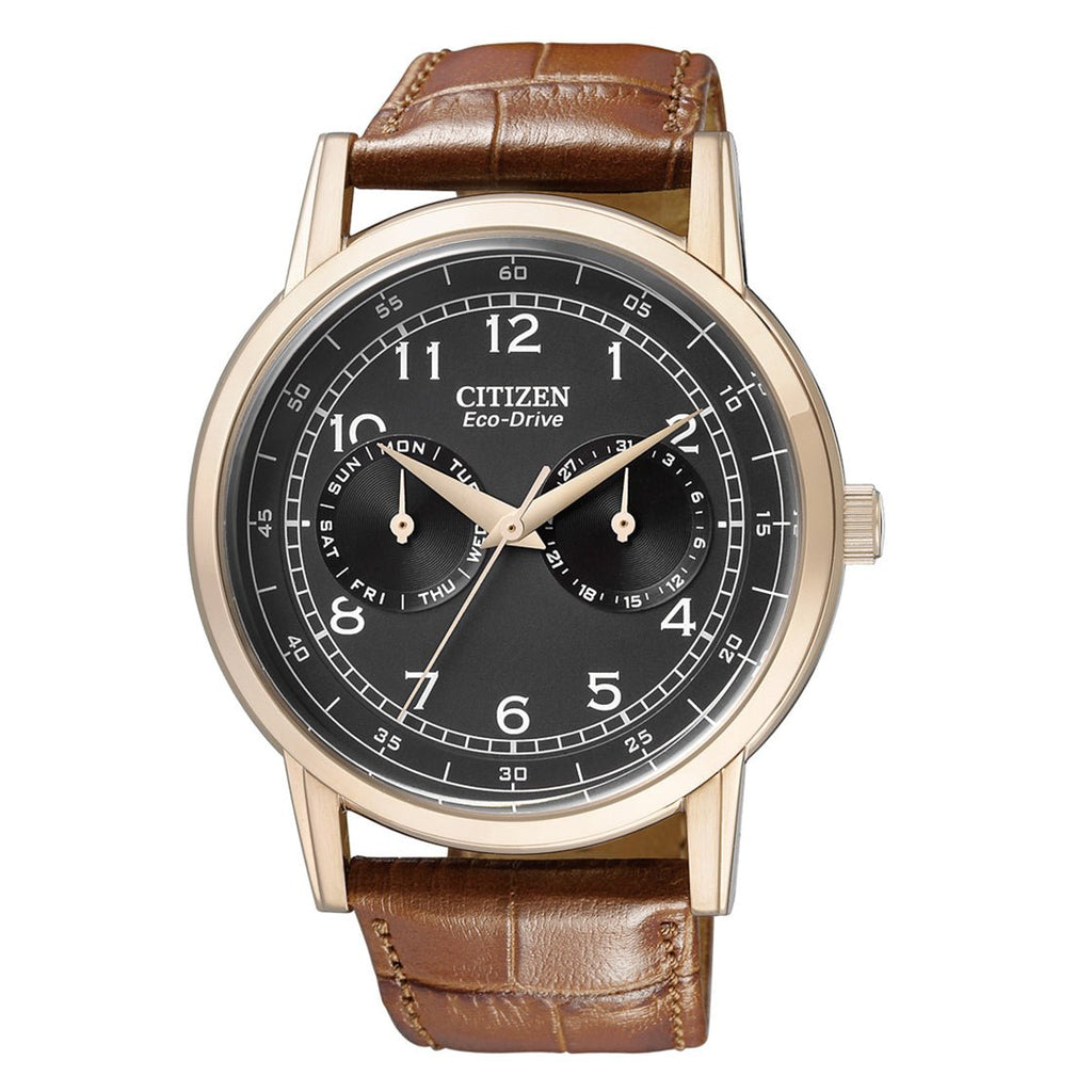 Citizen Eco Drive Multi Function Day & Date Black Dial Brown Leather Strap Watch For Men - AO9003-08E Buy Now By Citizen