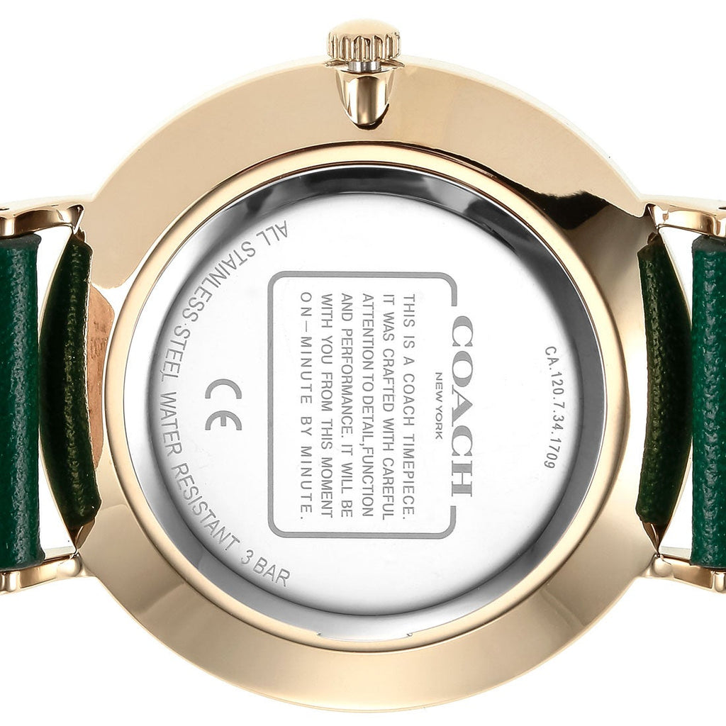 Coach Green Dial Green Leather Strap Watch for Women - 14503383 Buy Now By Coach