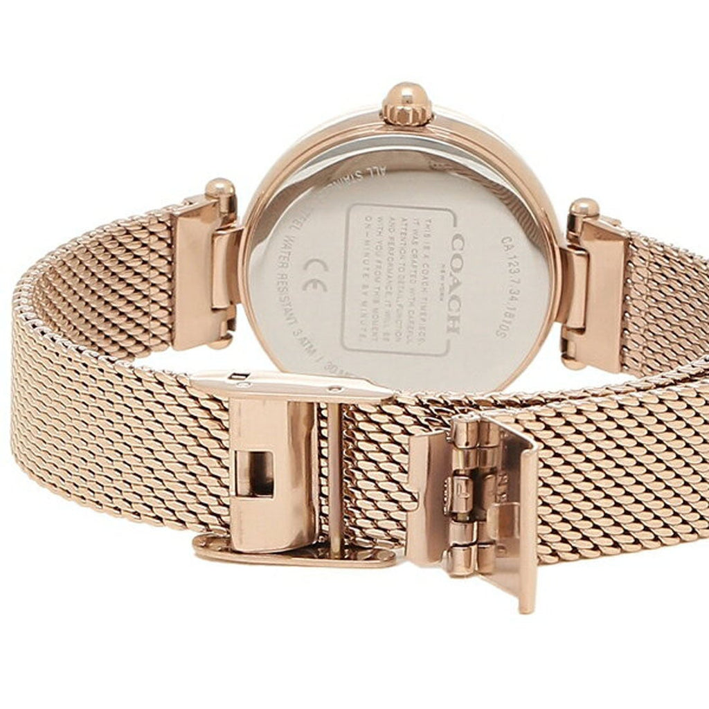 Coach Park Mother of Pearl Dial Rose Gold Mesh Bracelet Watch for Women - 14503511 Buy Now By Coach
