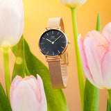 Daniel Wellington Classic Petite Melrose Black Dial Rose Gold Mesh Bracelet Watch For Women - DW00100217 Buy Now By Daniel Wellington