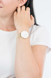 Daniel Wellington Classic Petite Evergold White Dial Gold Mesh Bracelet Watch For Women - DW00100346 Buy Now By Daniel Wellington
