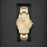 Daniel Wellington Iconic Link Unitone Gold Dial Gold Steel Strap Watch For Women - DW00100403 Buy Now By Daniel Wellington