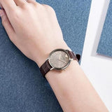 Emporio Armani Dress Quartz Silver Dial Brown Leather Strap Watch For Women - AR11063 Buy Now By Emporio Armani