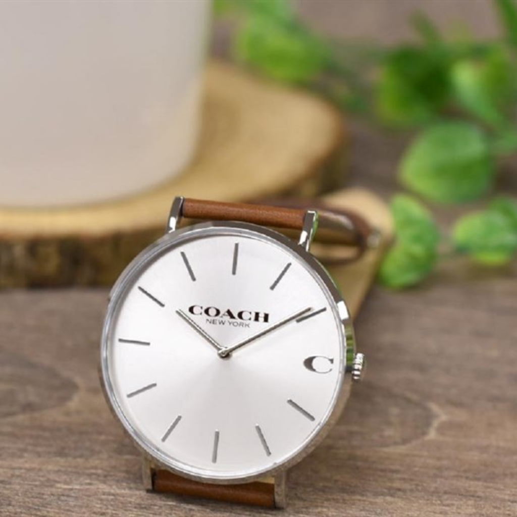 Coach Charles Silver Dial Brown Leather Strap Watch for Men - 14602152 Buy Now By Coach