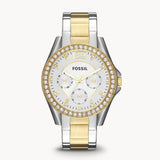 Fossil Riley White Dial Two Tone Steel Strap Watch for Women - ES3204 Buy Now By Fossil
