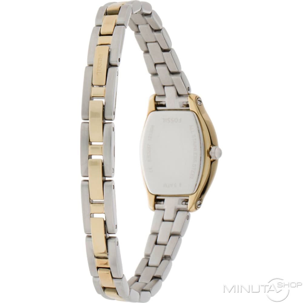 Fossil Molly Silver Dial Two Tone Steel Strap Watch for Women - ES3287 Buy Now By Fossil
