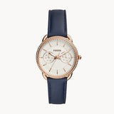 Fossil Tailor White Dial Blue Leather Strap Watch for Women - ES4394 Buy Now By Fossil