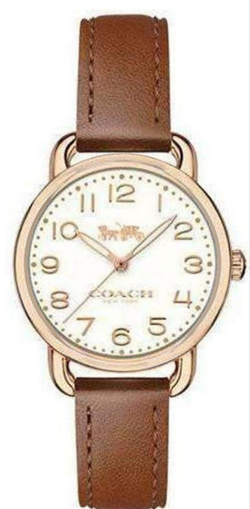 Coach Delancey Cream Dial Brown Leather Strap Watch For Women - 14502751 Buy Now By Coach