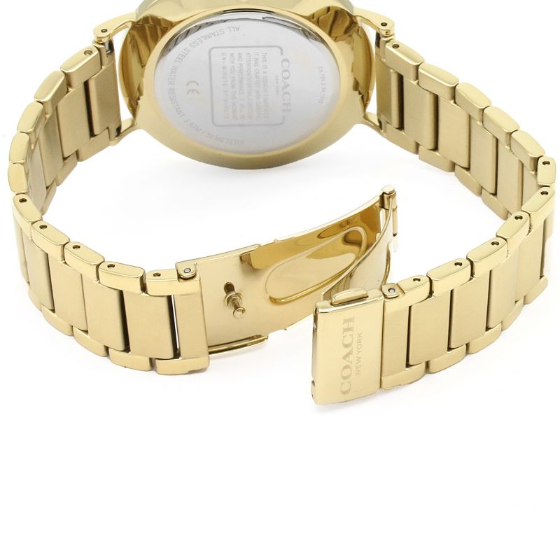 Coach Charles Silver Dial Gold Steel Strap Watch for Men - 14602430 Buy Now By Coach