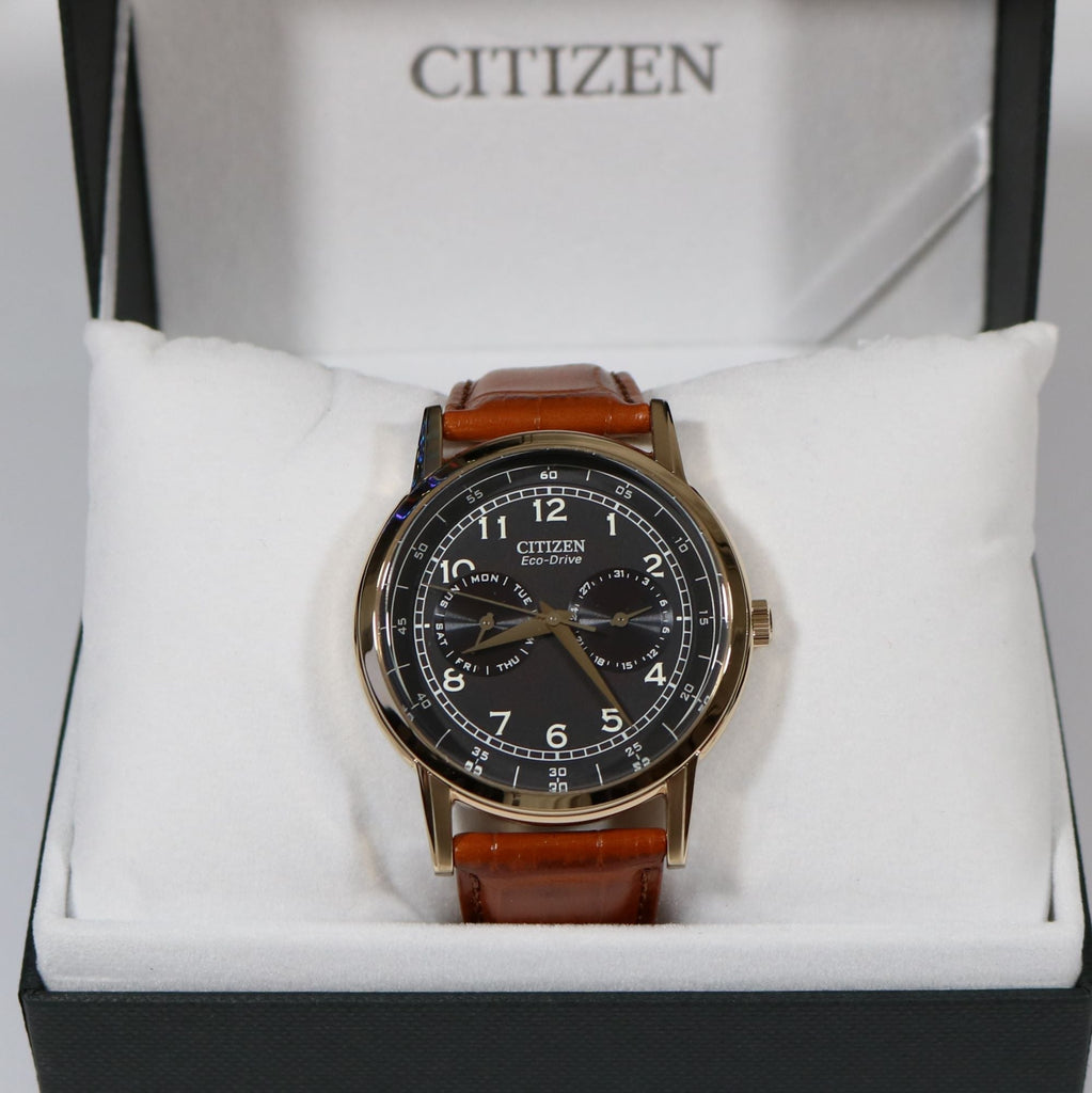 Citizen Eco Drive Multi Function Day & Date Black Dial Brown Leather Strap Watch For Men - AO9003-08E Buy Now By Citizen