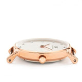 Daniel Wellington Classy Winchester White Dial Two Tone NATO Strap Watch For Women - DW00100065 Buy Now By Daniel Wellington