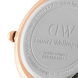 Daniel Wellington Petite Cornwall Black Dial Black Nylon Strap Watch for Women - DW00100247 Buy Now By Daniel Wellington