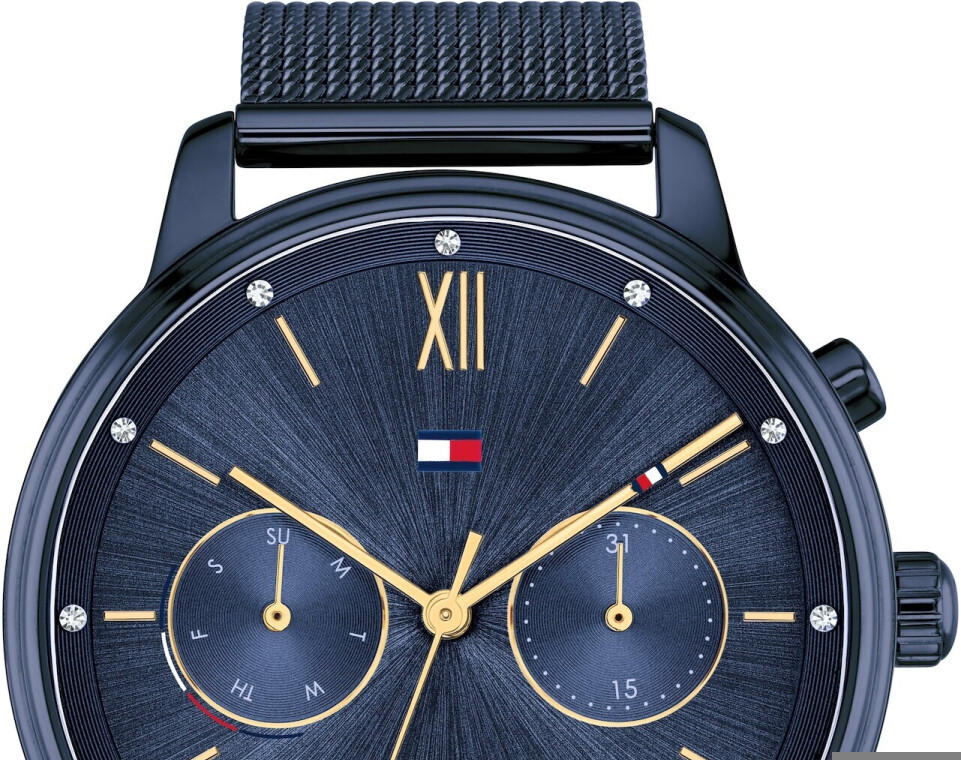 Tommy Hilfiger Blake Quartz Blue Dial Blue Mesh Bracelet Watch for Men - 1782305 Buy Now By Tommy Hilfiger