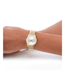 Gucci G Timeless Quartz Mother of Pearl Dial Gold Steel Strap Watch For Women - YA1265021 Buy Now By Gucci