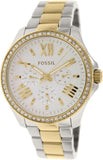 Fossil Cecile White Dial Two Tone Steel Strap Watch for Women - AM4543 Buy Now By Fossil
