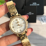 Coach Delancey Diamonds Silver Dial Gold Steel Strap Watch for Women - 14502354 Buy Now By Coach