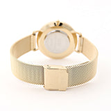 Daniel Wellington Petite Evergold Black Dial Gold Mesh Strap Watch For Women - DW00100345 Buy Now By Daniel Wellington