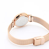 Daniel Wellington Petite Amber Brown Dial Gold Mesh Strap Watch For Women - DW00100476 Buy Now By Daniel Wellington