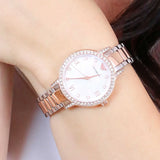 Emporio Armani Cleo Mother of Pearl Dial Two Tone Steel Strap Watch For Women - AR11499 Buy Now By Emporio Armani