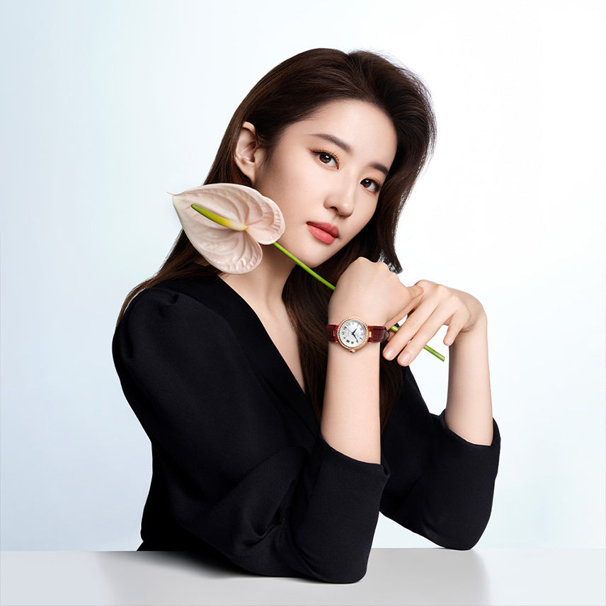 Tissot Bellissima Small Lady Diamonds Silver Dial Brown Leather Strap Watch For Women - T126.207.66.113.00 Buy Now By Tissot