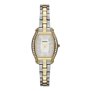 Fossil Molly Silver Dial Two Tone Steel Strap Watch for Women - ES3287 Buy Now By Fossil