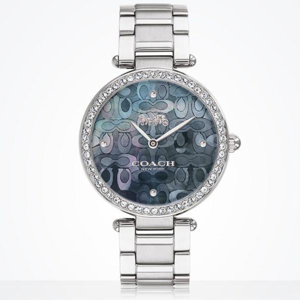Coach Park Mother of Pearl Blue Dial Silver Steel Strap Watch for Women - 14503224 Buy Now By Coach