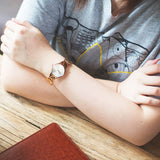 Calvin Klein Snake Silver Dial Rose Gold Steel Strap Watch For Women - K6E23646 Buy Now By Calvin Klein