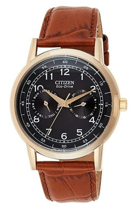 Citizen Eco Drive Multi Function Day & Date Black Dial Brown Leather Strap Watch For Men - AO9003-08E Buy Now By Citizen