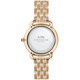 Coach Delancey White Dial Rose Gold Steel Strap Watch for Women - 14502783 Buy Now By Coach