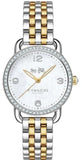 Coach Delancey Mother of Pearl White Dial Two Tone Steel Strap Watch for Women - 14502480 Buy Now By Coach