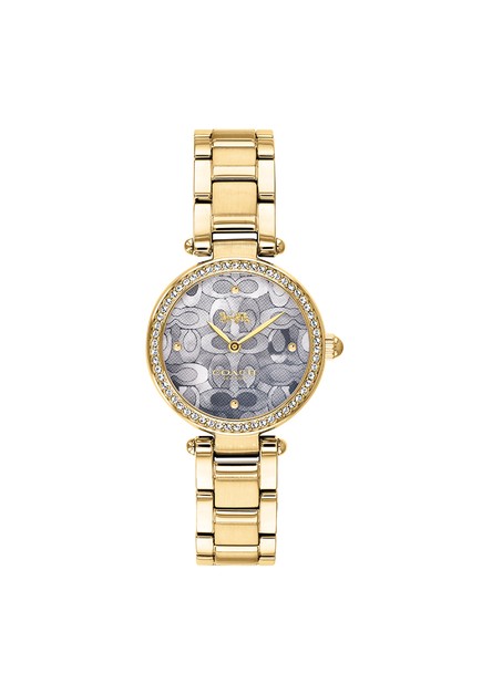 Coach Park Blue Dial Gold Steel Strap Watch for Women - 14503225 Buy Now By Coach