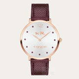 Coach Slim Easton Silver Dial Brown Leather Strap Watch for Women - 14502694 Buy Now By Coach