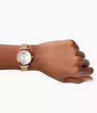 Emporio Armani Gianni T Bar Silver Dial Rose Gold Mesh Bracelet Watch For Women - AR1956 Buy Now By Emporio Armani