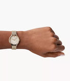 Emporio Armani Dress Quartz Rose Gold Dial Rose Gold Steel Strap Watch For Women - AR11062 Buy Now By Emporio Armani