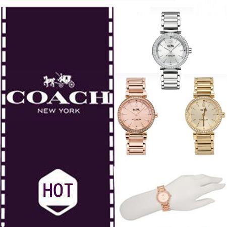 Coach Sports Crystals Silver Dial Silver Steel Strap Watch for Women - 14502194 Buy Now By Coach