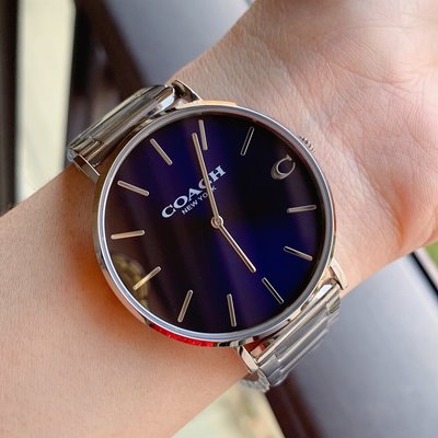 Coach Charles Blue Dial Silver Steel Strap Watch for Men - 14602429 Buy Now By Coach