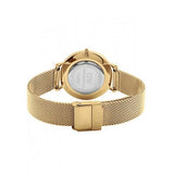 Daniel Wellington Classic Petite Black Dial Gold Mesh Bracelet Watch For Women - DW00100347 Buy Now By Daniel Wellington