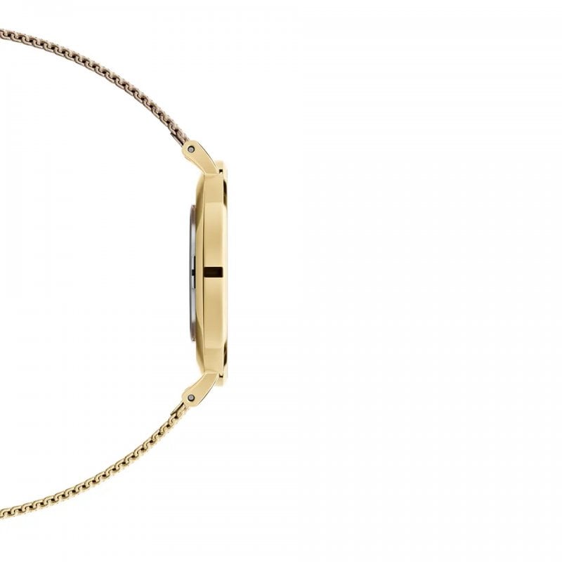 Daniel Wellington Classic Petite Evergold Black Dial Gold Mesh Bracelet Watch For Women - DW00100349 Buy Now By Daniel Wellington